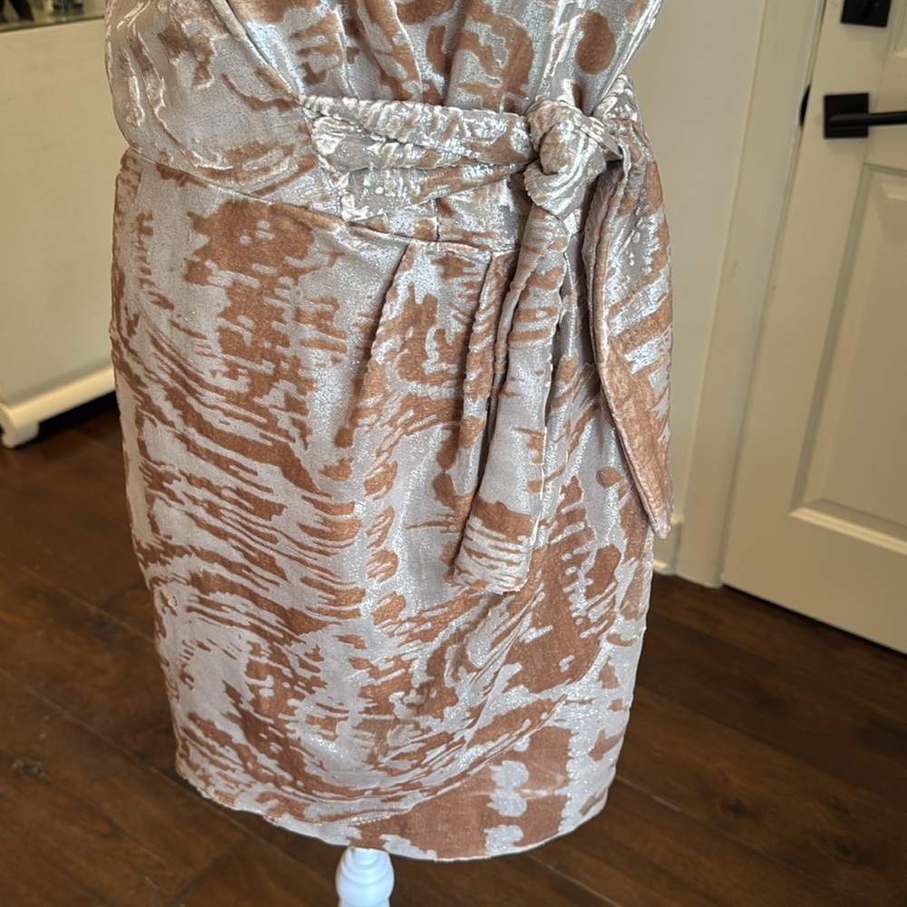 Cynthia Steffe - Josie Burnout Blush & Champagne Gold Metallic Dress - Size: 2 - Picture 4 of 9